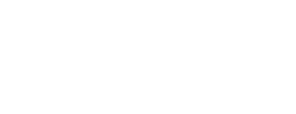TEBIS